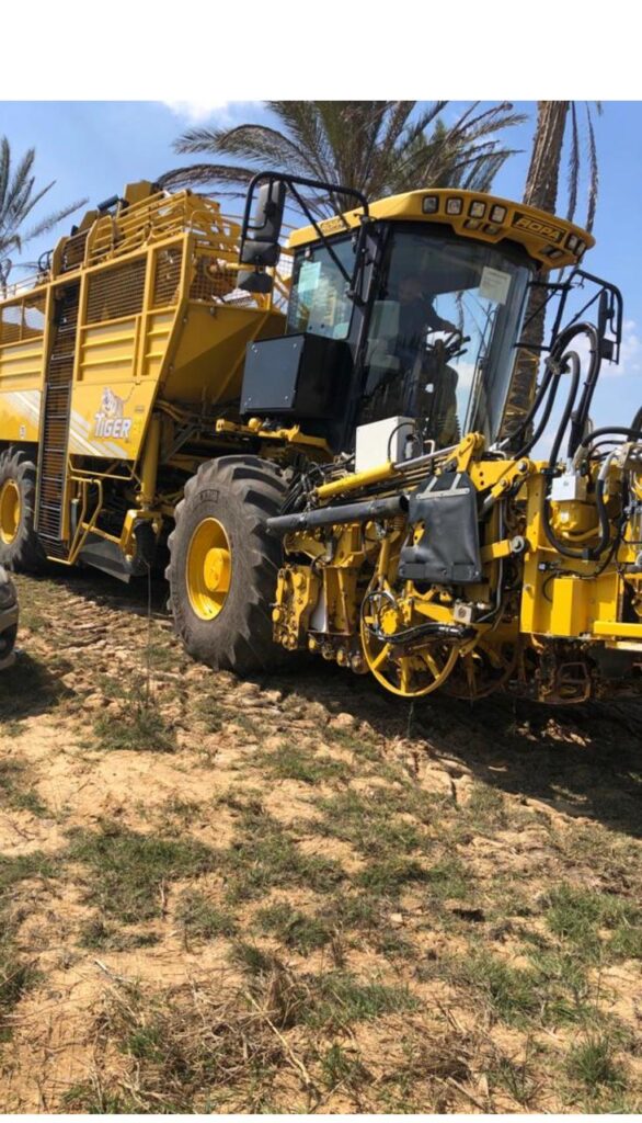 سير ناقل بنجر ROPA Tiger